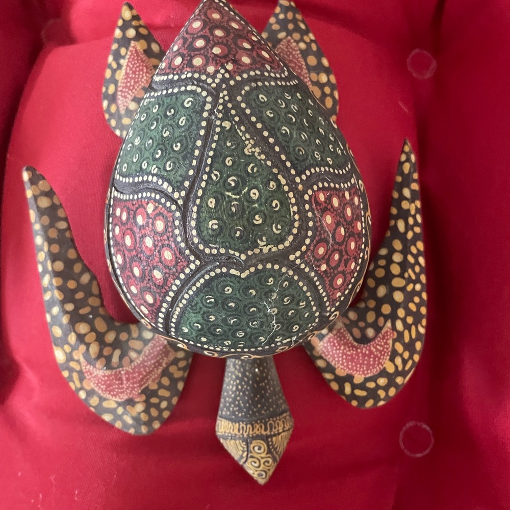 Wood turtle